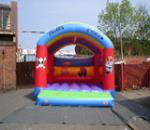 ADAR17 Adult Arched Pirate